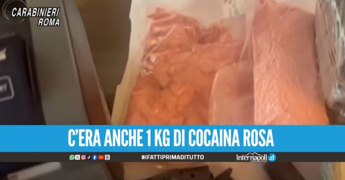 Pistole e 66 kg di droga 'sorvegliata' a casa, in manette un 35enne a Roma