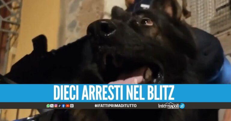 Spaccio e racket per il clan, blitz anche tra Napoli e Caserta