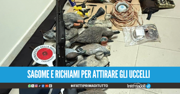 A caccia nell'oasi con finti richiami e sagome di anatre, denunciato bracconiere di Napoli