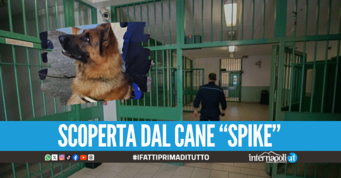 Va ai colloqui in carcere ad Avellino con 100 grammi di hashish nella vagina, arrestata