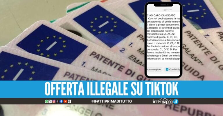 "Patenti in 7 giorni a 1500 euro", autoscuola denunciata da Borrelli