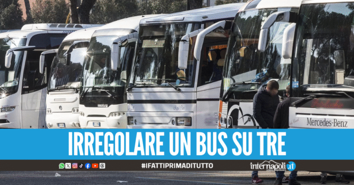 Dati tachigrafici falsati e patenti di guida false, bilancio 