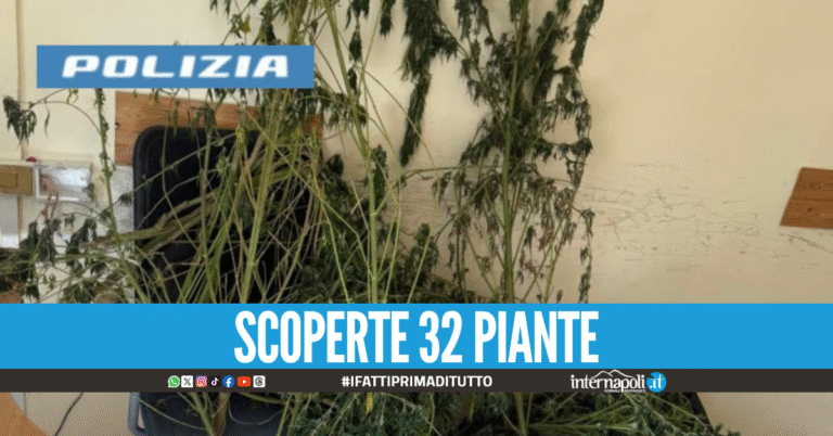 Piantagione di marijuana scoperta in Costiera, 40enne nei guai