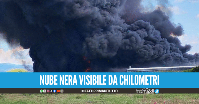 Terribile incendio a Sessa Aurunca, in fiamme serre in plexiglass e plastica