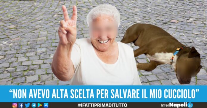 Donna morde pitbull al collo per difendere il suo cagnolino dall'aggressione: 