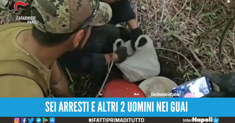 Sequestrata 1 tonnellata e mezza di cannabis sui Monti Lattari