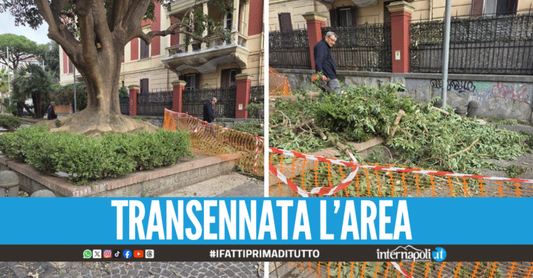 Paura in strada al Vomero, grossi rami si staccano e cadono al suolo