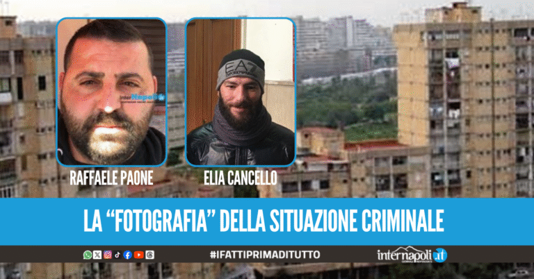 “Sei libero di fare ciò che vuoi”, l’autorizzazione della Vanella ai Cancello