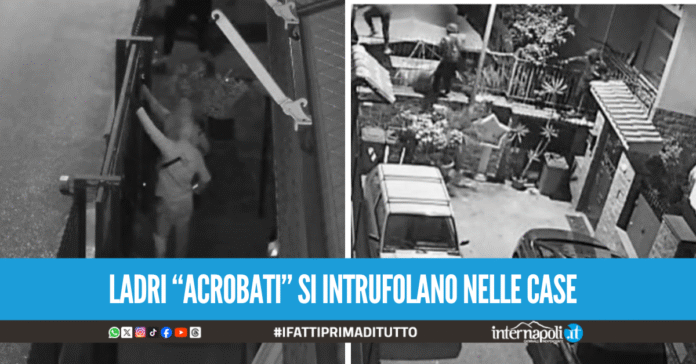 Topi d'appartamento in azione a Qualiano, la rabbia dei residenti: 