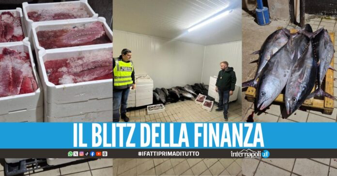 Sequestro da una tonnellata al mercato ittico di Mugnano: 
