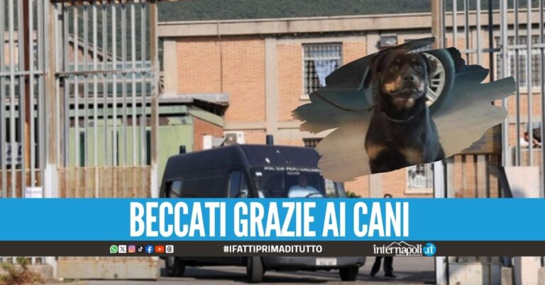 Hashish nascosto nelle parti intime, ragazza bloccata nel carcere di Salerno