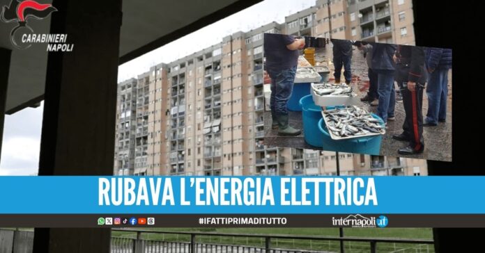 Sequestrati 100 kg di alimenti tossici nella pescheria a Scampia
