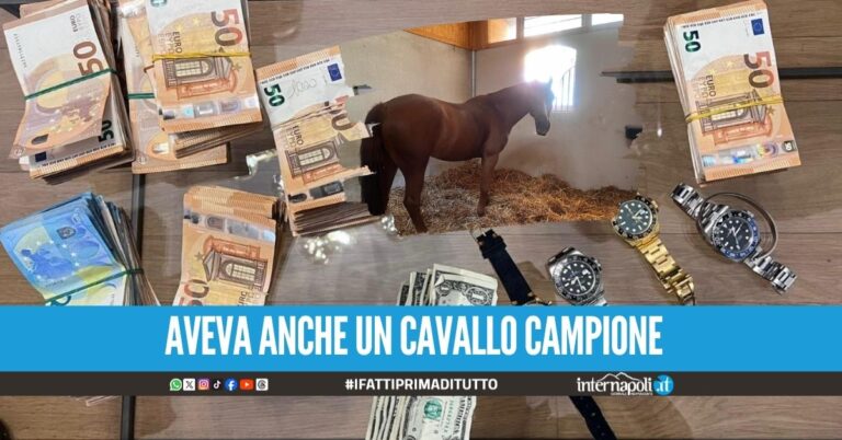 Rolex e 200mila euro in contanti sequestrati all'imprenditore vicino alla Banda della Magliana