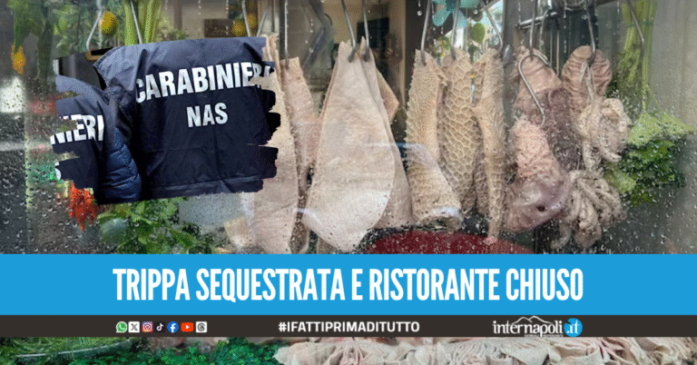 "Pere e musso" avariato e ristorante sporco, maxi operazione dei Nas nel Salernitano