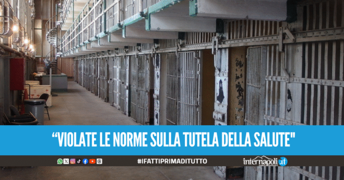 Infestazione da blatte nella mensa a Poggioreale, scatta la denuncia