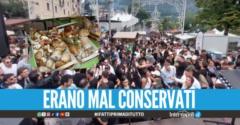 Blitz alla sagra di Cusano Mutri, sequestrati oltre 30 kg di funghi pericolosi