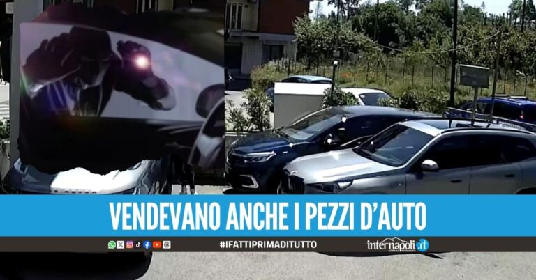 Affari da 200mila euro con le auto rubate, 8 arresti nel Casertano