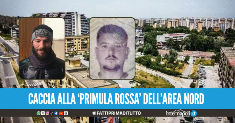 Camorra di Scampia, dopo Cifariello caccia al ras Elia Cancello
