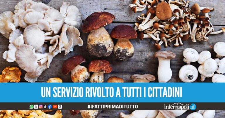Commestibilità dei funghi, prevenzione e controlli gratuiti presso l'Asl Napoli 1