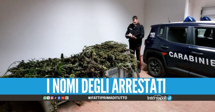 Nascondevano 109 kg di marijuana, presi 2 custodi nel Vesuviano