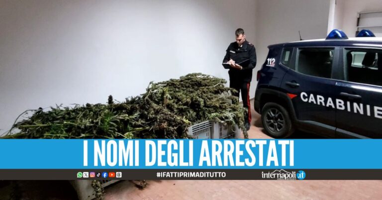 Nascondevano 109 kg di marijuana, presi 2 custodi nel Vesuviano