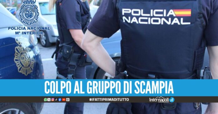 Catturato il ras del clan Amato-Pagano, era latitante a Tenerife