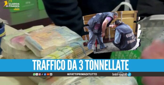 Cocaina per la camorra dal Sudamerica, 28 arresti nel blitz