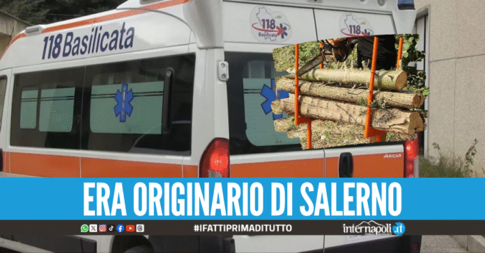 Dramma in Basilicata, operaio muore mentre taglia la legna