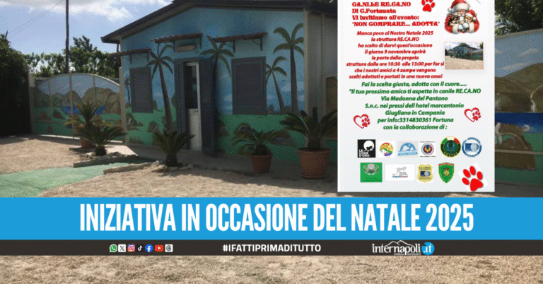 Non comprare, adotta. L'iniziativa del canile Re.Ca.No per gli amici a 4 zampe