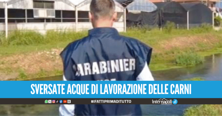 Scarichi nel fiume Sarno, sequestrato impianto di macellazione a Sant'Antonio Abate