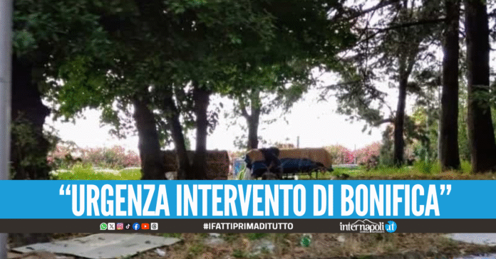 Topi, rifiuti e clochard all'esterno dell'ospedale Cardarelli E' una vergogna