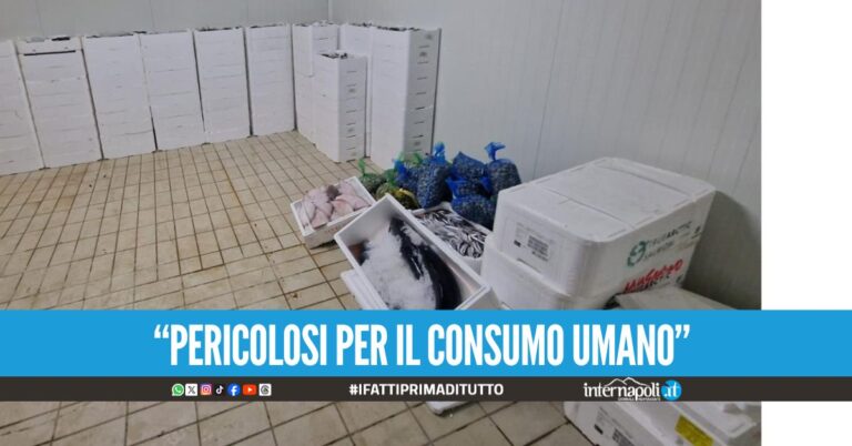 Tra il 6 e il 7 novembre, le Fiamme Gialle del Reparto Operativo Aeronavale di Napoli, nell’ambito dell’intensificazione dei servizi di pol