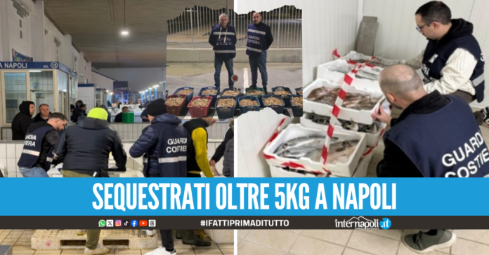 Cenone sicuro in Campania, sequestrate oltre 9 tonnellate di pesce: multe per 140mila euro