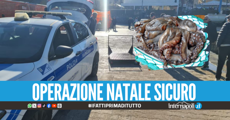 Polpi, seppie e calamari pericolosi: sequestro da ben 55 kg al porto di Pozzuoli