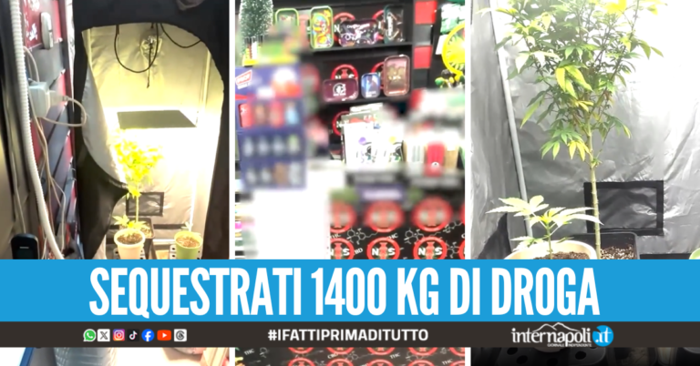 Droga, armi e cannabis shop nel mirino, maxi operazione della Polizia: 384 arresti in tutta Italia
