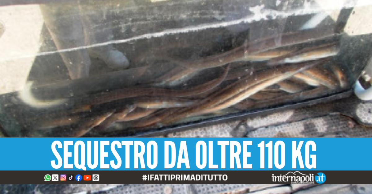 Orig Anguille Cesto Per Anguille Cesto Per Cancro Riuse Reusen Anguilla - Foto 9