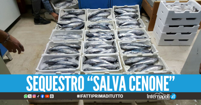 Sequestrati 70 kg di pesce a Pozzuoli, passante insulta gli agenti e gli aizza l'abusivo contro