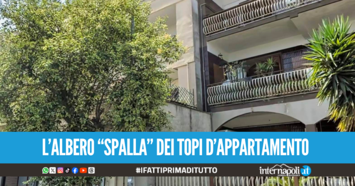 Furto 