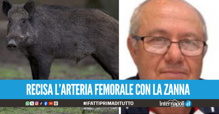 Spara al cinghiale credendolo morto, l'animale si rialza e lo travolge: Luigi muore a 74 anni