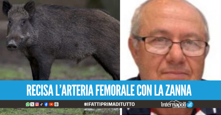 Spara al cinghiale credendolo morto, l'animale si rialza e lo travolge: Luigi muore a 74 anni
