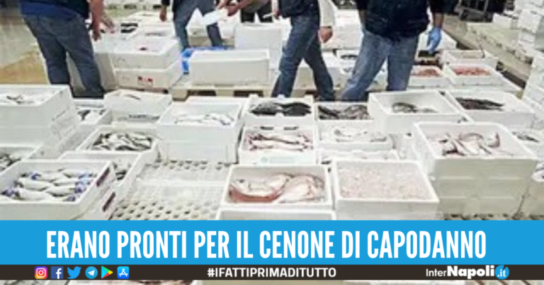 Blitz nelle note pescherie di Napoli, sequestrati 240 kg di prodotti ittici