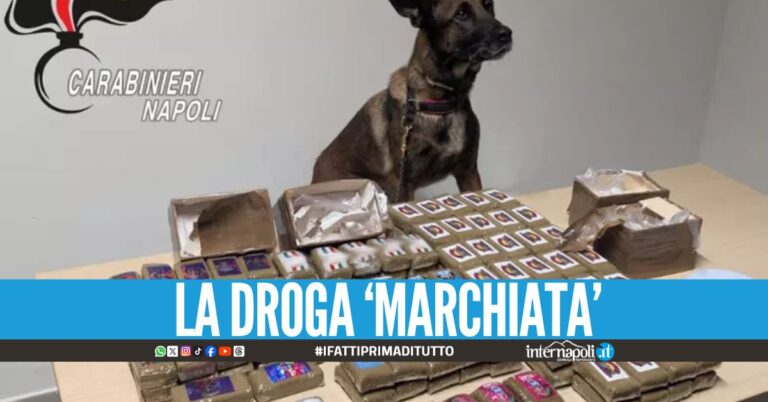 Sequestrati 14 kg di hashish a Scampia, blitz nel locale abusivo
