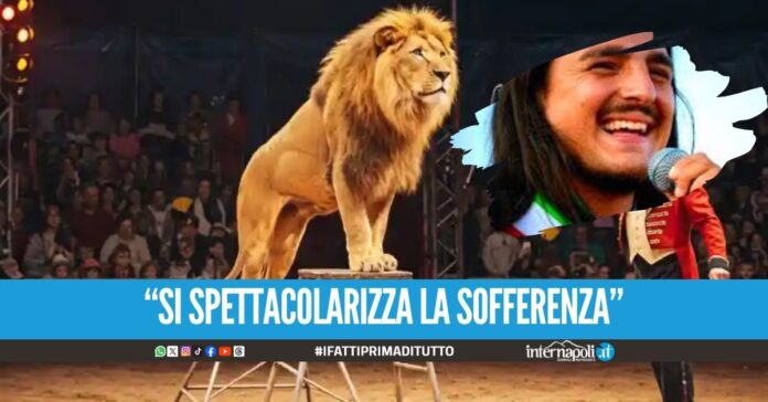 Vietato il circo con '100 animali' a Bacoli, lo stop dal sindaco
