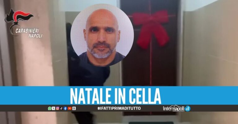 Alle prime luci dell’alba del giorno di Natale, i Carabinieri del nucleo investigativo di Castello di Cisterna coordinati dalla DDA