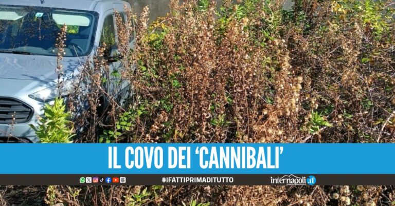 Scovato il covo delle auto rubate a Pozzuoli, era dietro al cancello