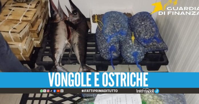 Sequestrati 900 kg di pesce e frutti di mare al mercato di Mugnano