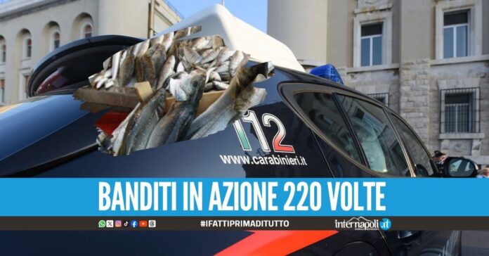 Furti di pesce da 700mila euro, 2 arresti nel Napoletano