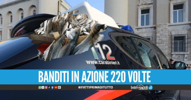 Furti di pesce da 700mila euro, 2 arresti nel Napoletano
