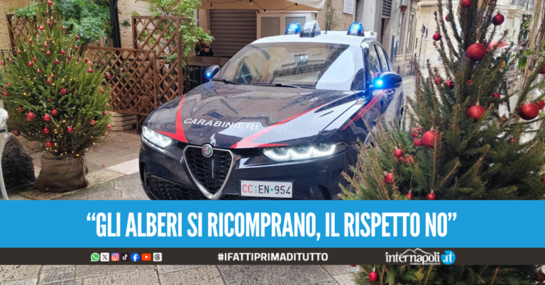 Il Natale è alle porte, così come i ladri di alberelli: furto davanti alla cartoleria Varzi di Chiaia