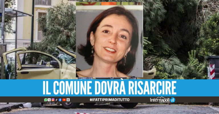 Cristina Alongi uccisa da un albero al Vomero, risarcimento di 215mila euro al fratello
